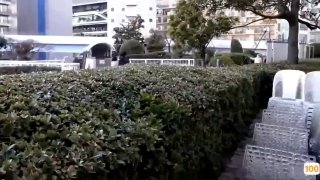 精品国产短视频